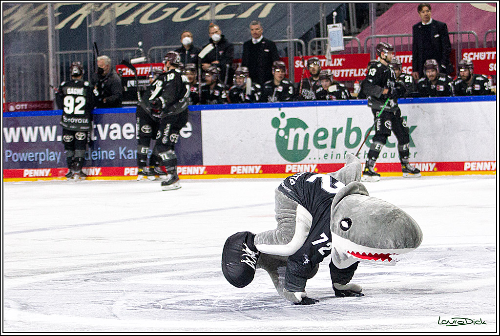 PENNY DEL;  Koelner Haie - Wolfsburg Grizzlys; Koeln, 17.03.2021
